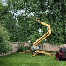 Best Tree Risk Assessment  in Honey Grove, TX