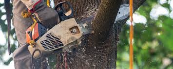 Lawn Irrigation Installation and Maintenance in Honey Grove, TX