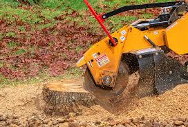 Mulching Services in Honey Grove, TX